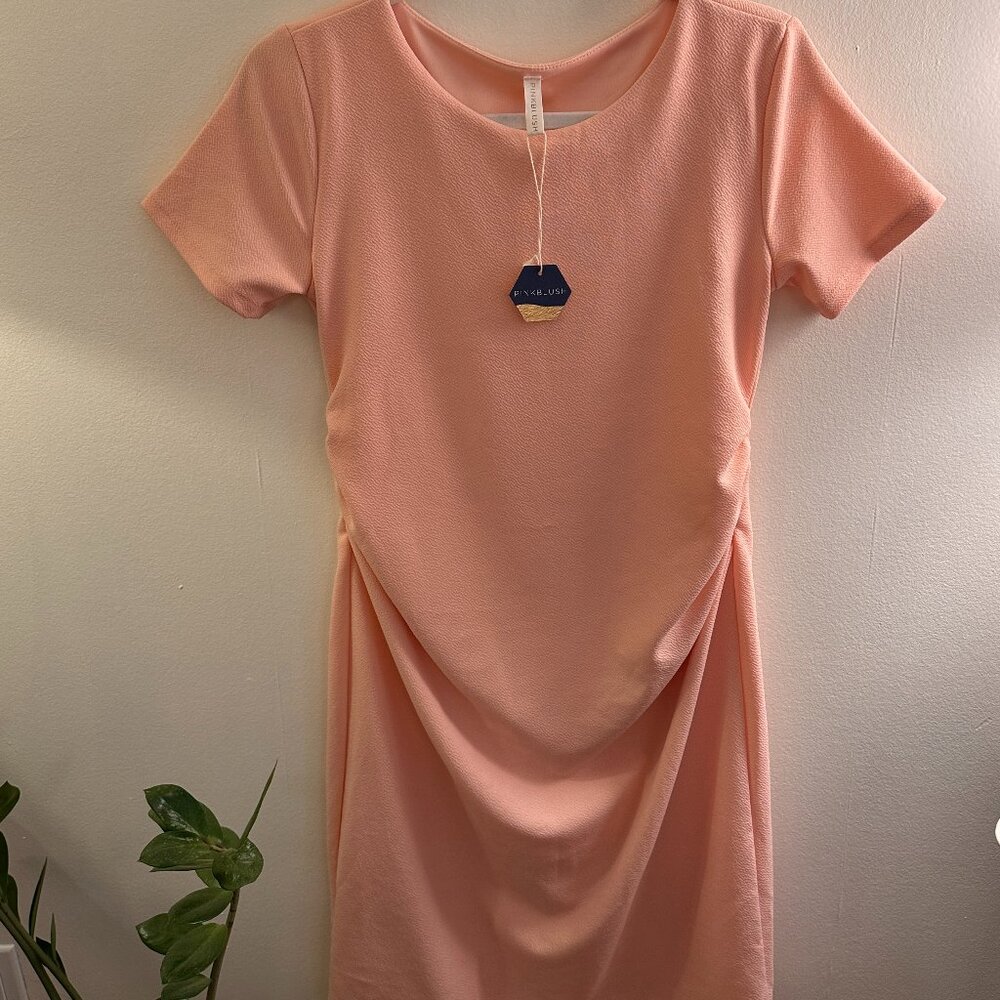 Pinkblush Peach Dress
